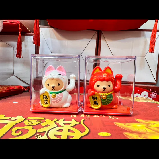 แมวจิ๋ว โซล่าเซล 03